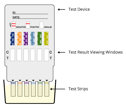 MD Multi-Drug Test Card