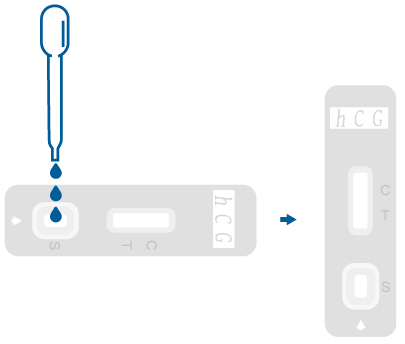 CLIA Waived hCG Rapid Test Cassette 25mlU/ml Test Procedure