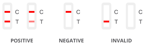 CLIA Waived hCG Rapid Test Strip 25mlU/ml Test Read Results