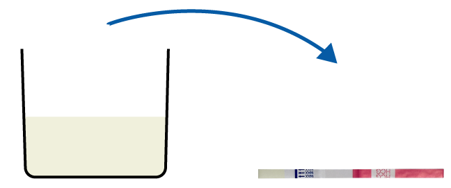 CLIA Waived hCG Rapid Test Strip 25mlU/ml Test Procedure