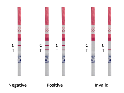 CLIA Waived hCG Rapid Test Strip 25mlU/ml Test Read Results